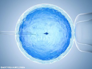 借卵代怀选性别生殖医学中心